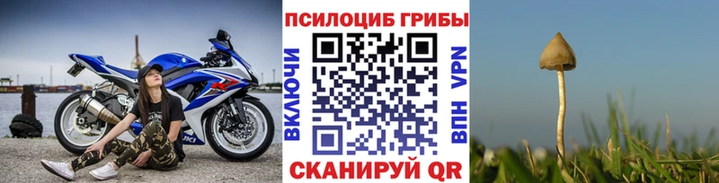 Псилоцибиновые грибы прущие грибы  Ленинградская 
